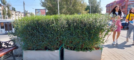 Гибкие тканые контейнеры для живой изгороди